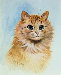 Ginger Tom